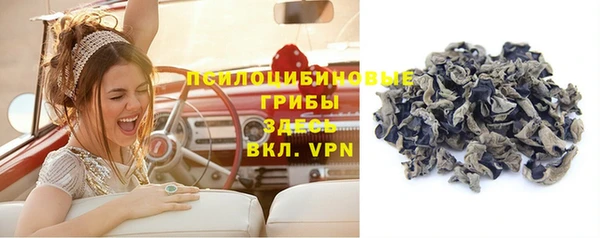 трава Тутаев