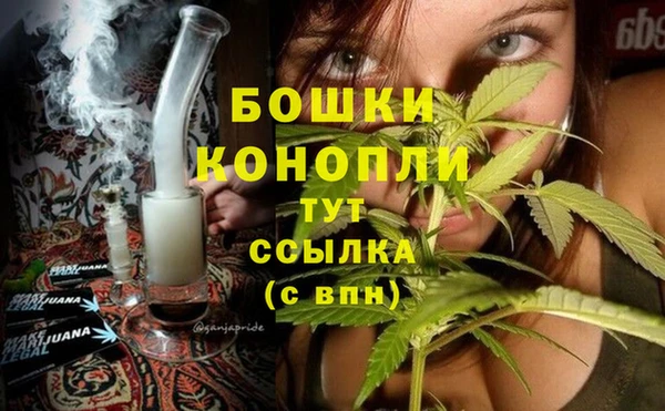 spice Беломорск