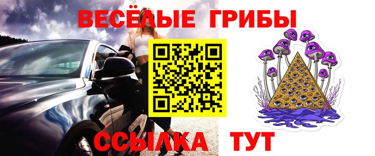 купить наркоту  Вход с VPN  Псилоцибиновые грибы Cubensis  Армавир  Псилоцибиновые грибы мицелий 